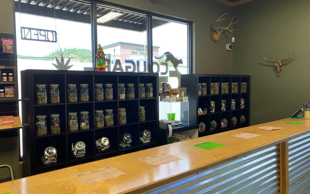 Cougar Cannabis: Your Trusted Dispensary in Roseburg, Oregon